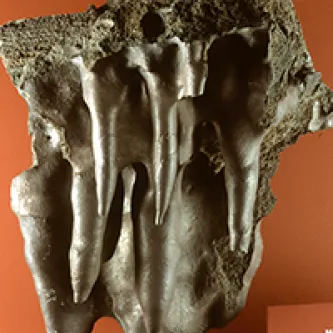 Brown slab of rock with five stalactites of the same color dripping down its face.