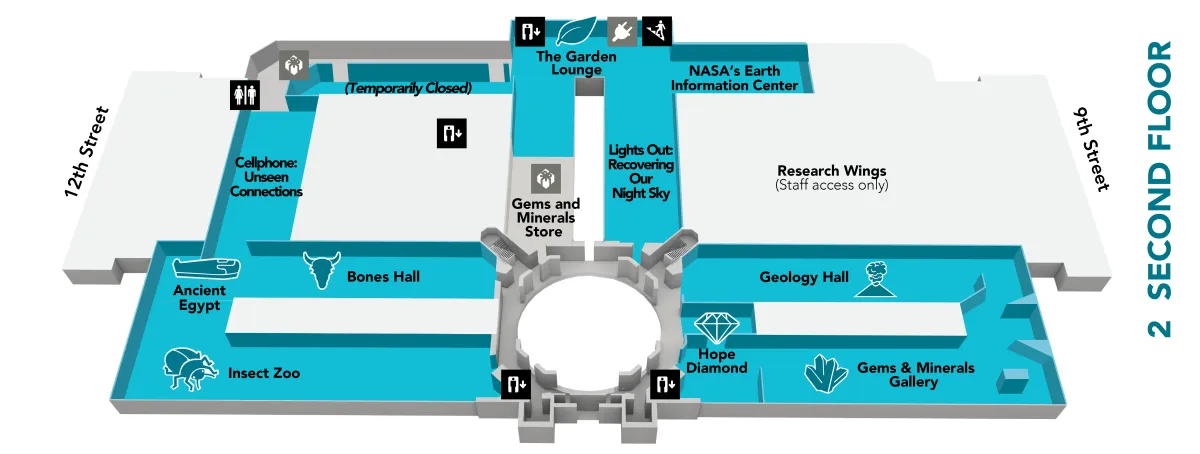 Map of the second floor of the museum, which has the following exhibits: Bones, Cellphone: Unseen Connections, Garden Lounge, Gems and Minerals, Geology, Hope Diamond, Live Insect Zoo, Mummies, NASA's Earth Information Center at NMNH, and Lights Out: Recovering Our Night Sky. Get more details in the text below.