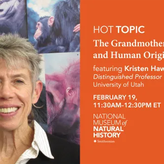 At left, woman with light, short hair stands in front of many photos of chimpanzees. At right, text reads HOT Topic: The Grandmother Hypothesis and Human Origins, featuring Kristen Hawkes, Distinguished Professor of Anthropology, University of Utah, February 19.
