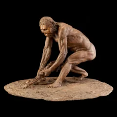 How Do Paleoanthropologists Identify Our Evolutionary Relatives?