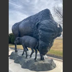 Opening Day and Celebration of "Bison: Standing Strong"