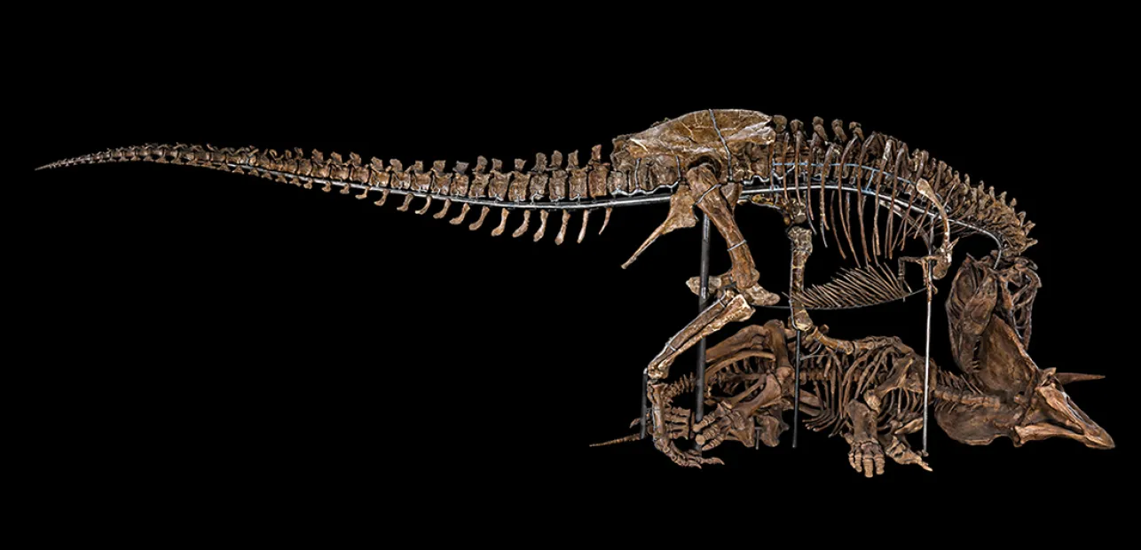 Play Date: Week of the Young Child Celebration!