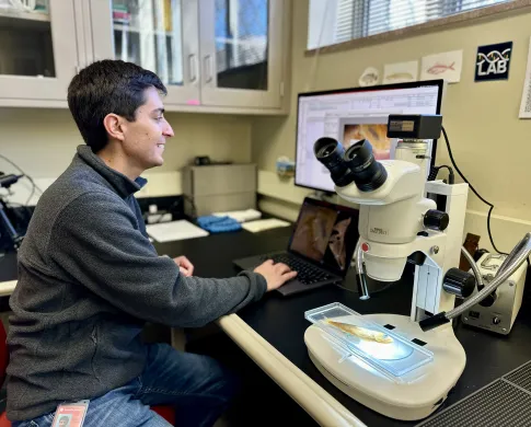 A scientist is looking at an image from a microscope. 