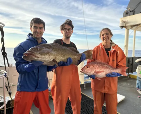 Scientists hold fresh fishes on the boat.