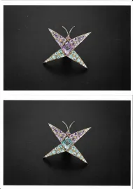 Alexandrite Butterfly (NMNH G11815)::16905385