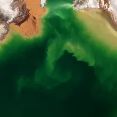 aerial view of Carlin mine that is green with yellow rim