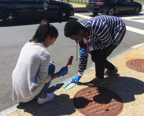 Two teenagers squatting near manhole covers on a sidewalk next to a storm drain. One holds a brush and one is placing a storm drain marker on the sidewalk near the storm drain opening in the curb.