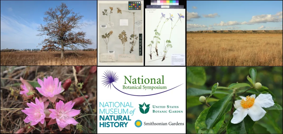 Collage of plant images and the logos of the National Botanical Symposium, NMNH, USBG, and SG