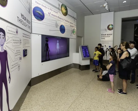 A group of people stand looking at an exhibit monitor and wall graphics