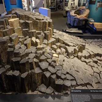 A large slab of rock made up of short columns of gray rock on an exhibit platform that takes up a large amount of floor space in a gallery. The columns are different heights, and are bunched together, with cracks separating them. Many have five or six uneven sides.