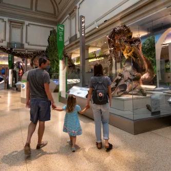 Two adults and a child looking at a T. rex eating a Triceratops
