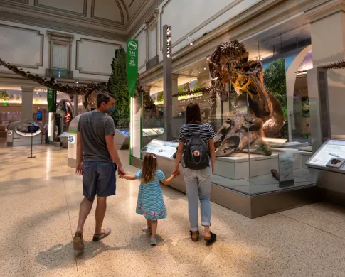 Two adults and a child looking at a T. rex eating a Triceratops