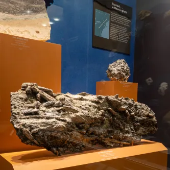 Large brown and gray rock on a platform in an exhibit case, with two other rocks or minerals above it.