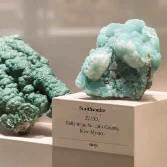 Large mineral specimen consisting of many light blue crystals of Smithsonite. It is sitting on a pedestal in an exhibit case. Underneath the mineral is a label, reading Smithsonite, Zn CO 3, Kelly mine, Soccoro County, New Mexico. Next to it is a piece of green malachite.