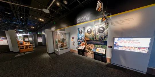 wall panel featuring One health content and bat from the ceiling 