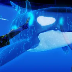 a digital projection of an orca what with a person reaching out to touch it. mostly blue tones 