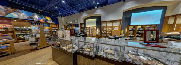 Scene from the Ground Floor Museum Shop