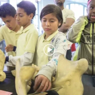 A group of young children in yellow shirts gathered in front of a table with large bones on it.