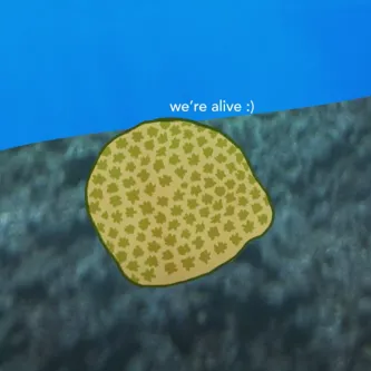 Illustration of a yellow coral underwater on a blurry gray background. The coral is shaped like a pencil eraser and has rows of green splotches on it. Text: we're alive.