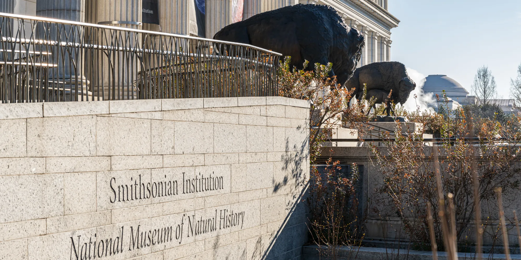 Photo of the two bison statues from the east with the name of the museum visible.