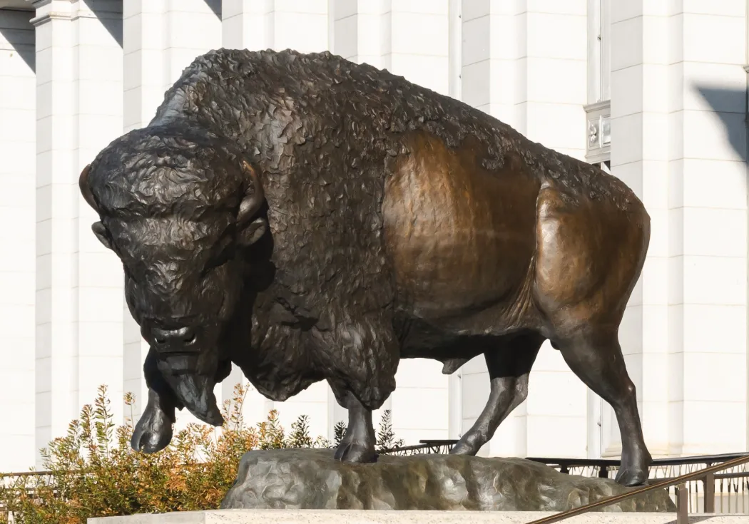 Photo of a bronze bison bull on the steps of the museum.