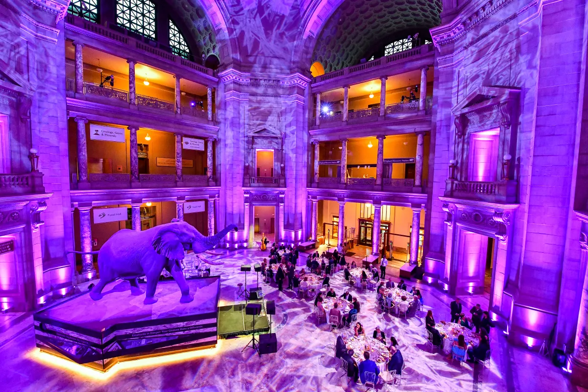 Guests are sitting down to a formal dinner in the Rotunda (JCB 116)